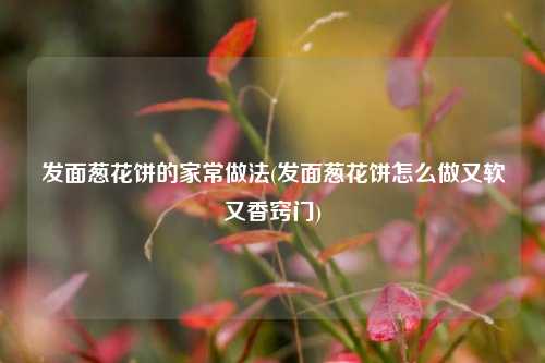 发面葱花饼的家常做法(发面葱花饼怎么做又软又香窍门)