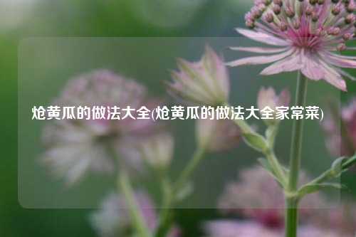 炝黄瓜的做法大全(炝黄瓜的做法大全家常菜)