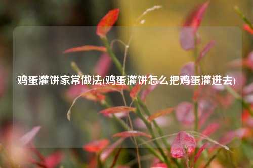 鸡蛋灌饼家常做法(鸡蛋灌饼怎么把鸡蛋灌进去)