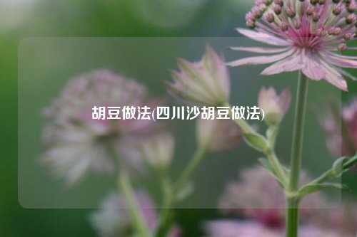 胡豆做法(四川沙胡豆做法)