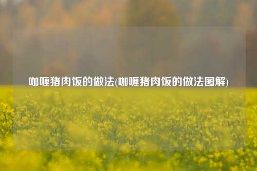 咖喱猪肉饭的做法(咖喱猪肉饭的做法图解)