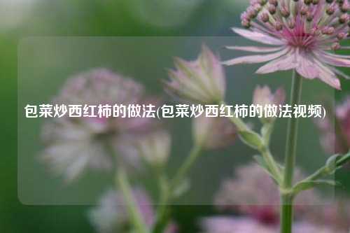 包菜炒西红柿的做法(包菜炒西红柿的做法视频)