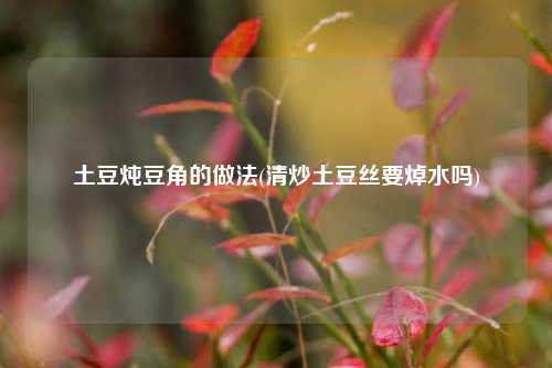 土豆炖豆角的做法(清炒土豆丝要焯水吗)