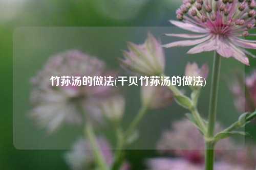 竹荪汤的做法(干贝竹荪汤的做法)