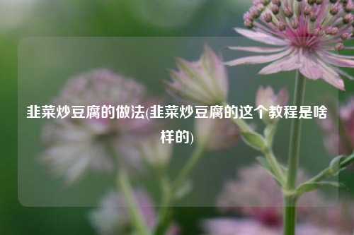 韭菜炒豆腐的做法(韭菜炒豆腐的这个教程是啥样的)