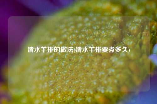清水羊排的做法(清水羊排要煮多久)