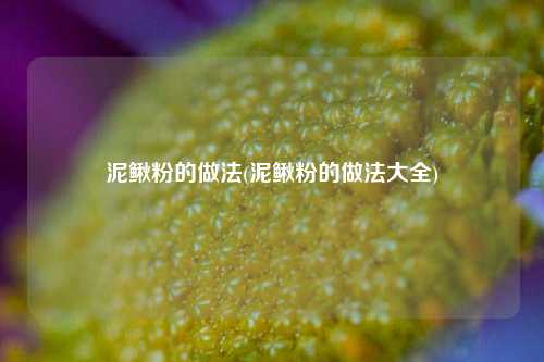泥鳅粉的做法(泥鳅粉的做法大全)